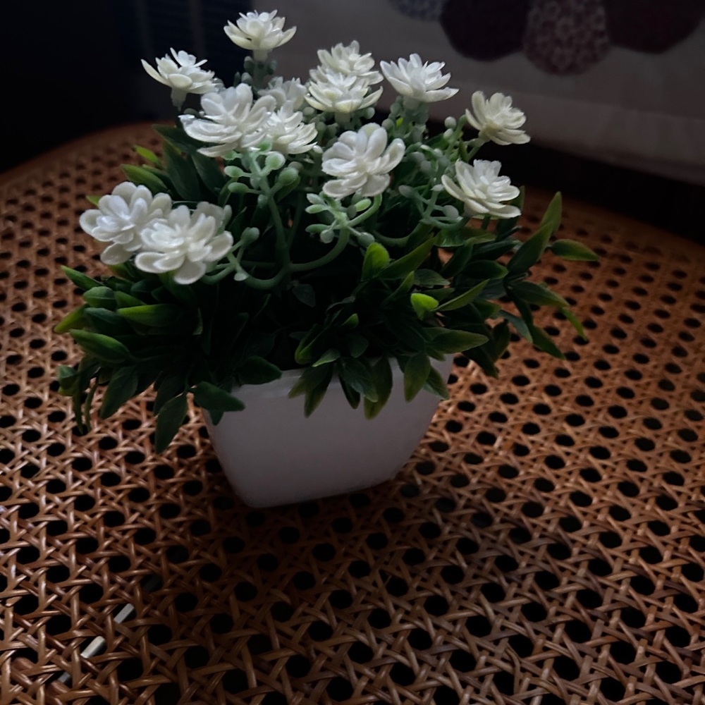 Small faux plant
